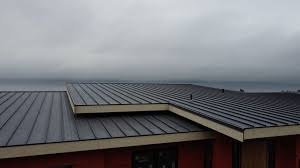 Best Rubber Roofing (EPDM, TPO)  in Reedley, CA